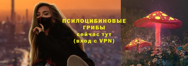 ECSTASY Гусев