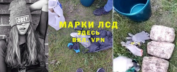 трава Беломорск