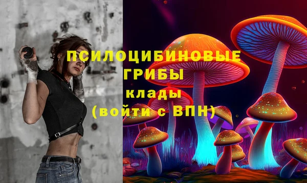 трава Беломорск