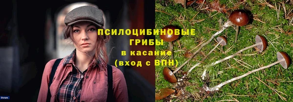 трава Беломорск
