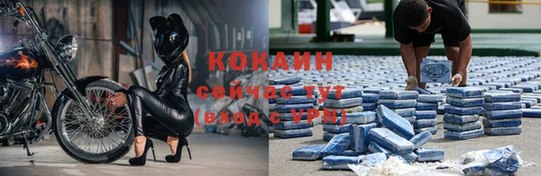 трава Беломорск
