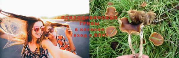 трава Беломорск