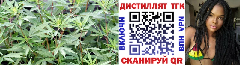 Дистиллят ТГК гашишное масло  Жердевка 