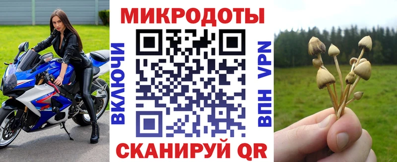 Галлюциногенные грибы ЛСД  Жердевка 